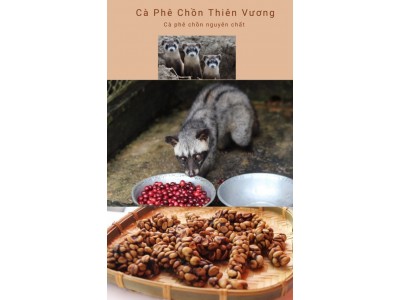 Cà phê chồn 1kg